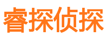 盐田睿探私家侦探公司